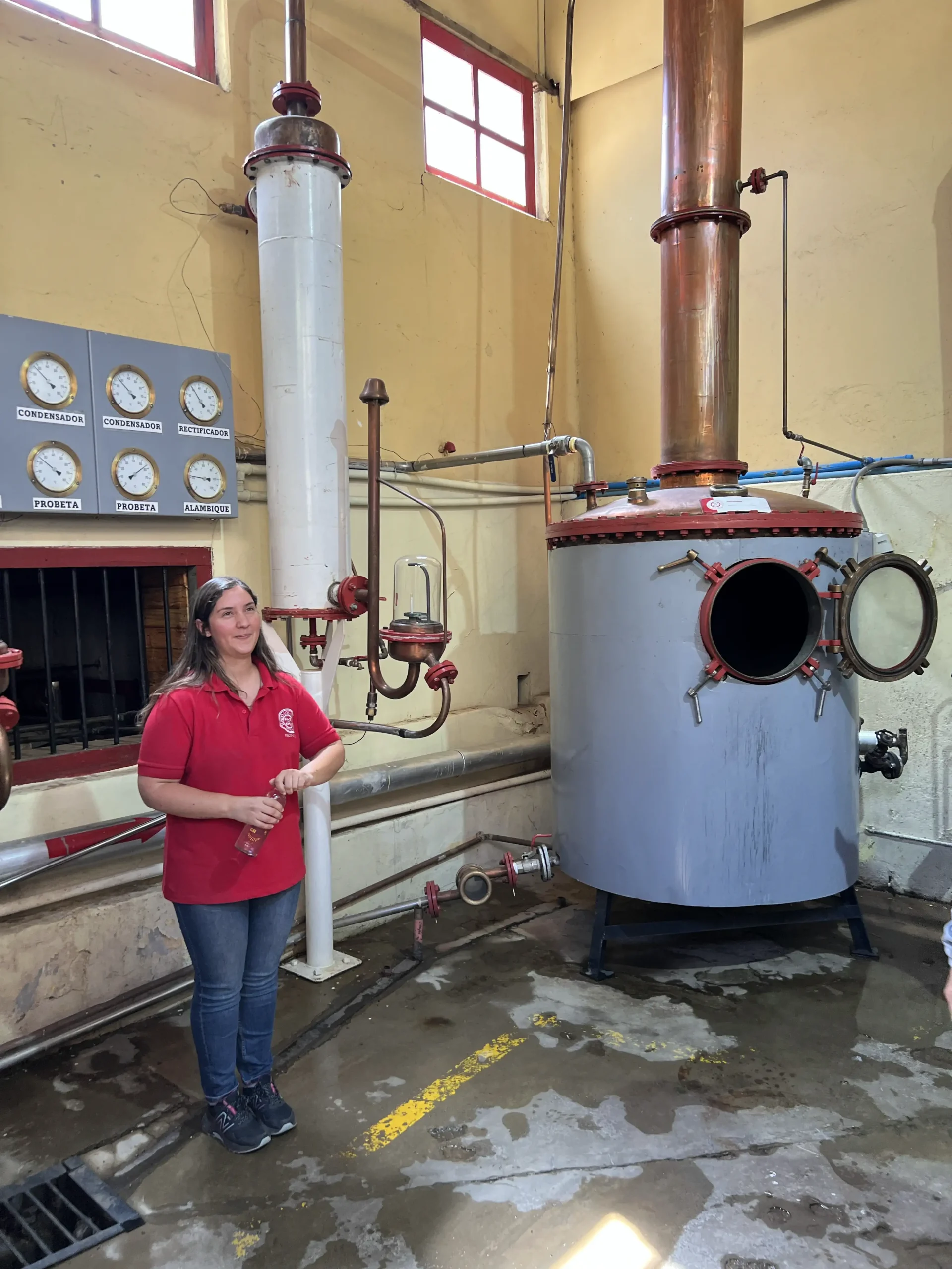 Distillerie PISCO